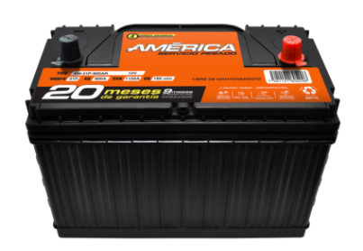 AM 31P 900 AR 1